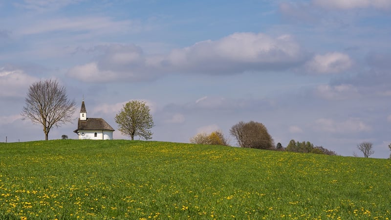 Unicorn Meadows