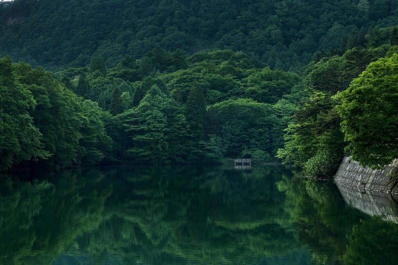 Enchanted Pond